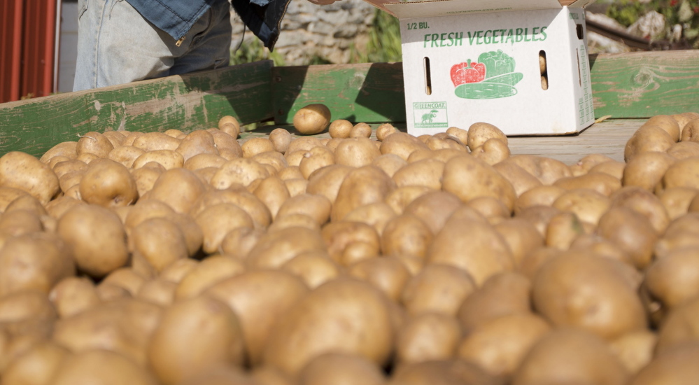 White potatoes are rich in potassium and fiber but are often served in the form of french fries, negating, critics say, their nutritional value.