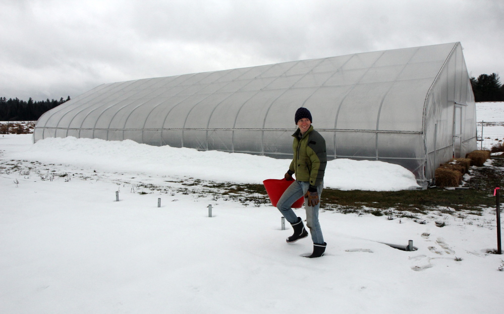 Katherine Creswell, farm manager at Kennebec Valley Community College’s Harold Alfond Campus in Hinckley, makes her way through the snow outside an unheated greenhouse, called a high tunnel, which allows plants to be nurtured in winter. The plants don’t grow, but remain fresh until picked.