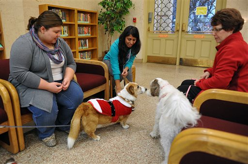 Midwestern State University students Heather Skelton, left, and Pooja Patel, center, enjoy petting therapy dogs provided by the Obedience Training Club of Wichita Falls, Texas , recently. About 10 dogs were brought to MSU to help students deal with the stress of studying for finals.   The Associated Press