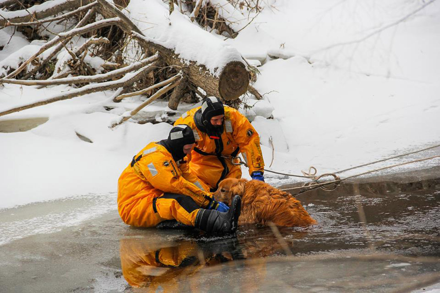 Firefighters Eric Bloom and Dana Curtis rescue Brewer the dog from the frigid Great Works River near Thurrell Road in South Berwick on Wednesday. The dog had been in the water for about an hour before being rescued, according to the department's Facebook page.