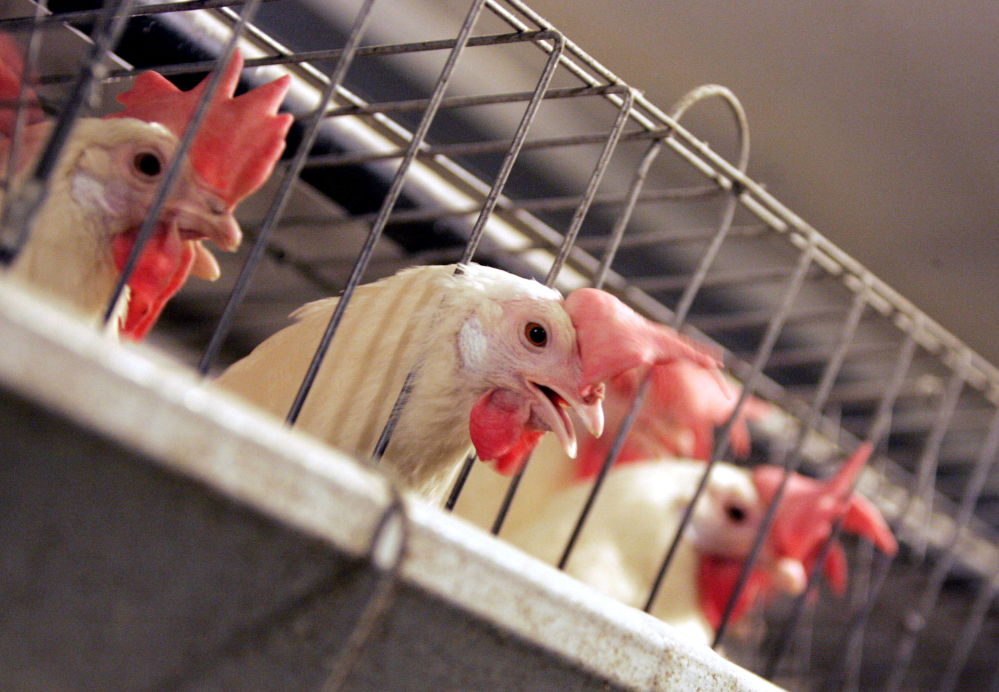 California now requires farmers to house hens in cages with enough space to move around and stretch their wings, and farmers in other states who sell eggs in California have to follow the same requirements, likely driving egg prices up.