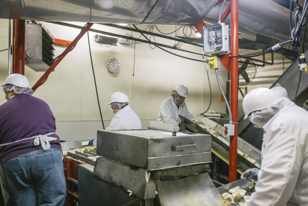 Workers process potatoes at Penobscot McCrum, a Belfast company that employs 250 people and exports 10 percent to 12 percent of its total sales.