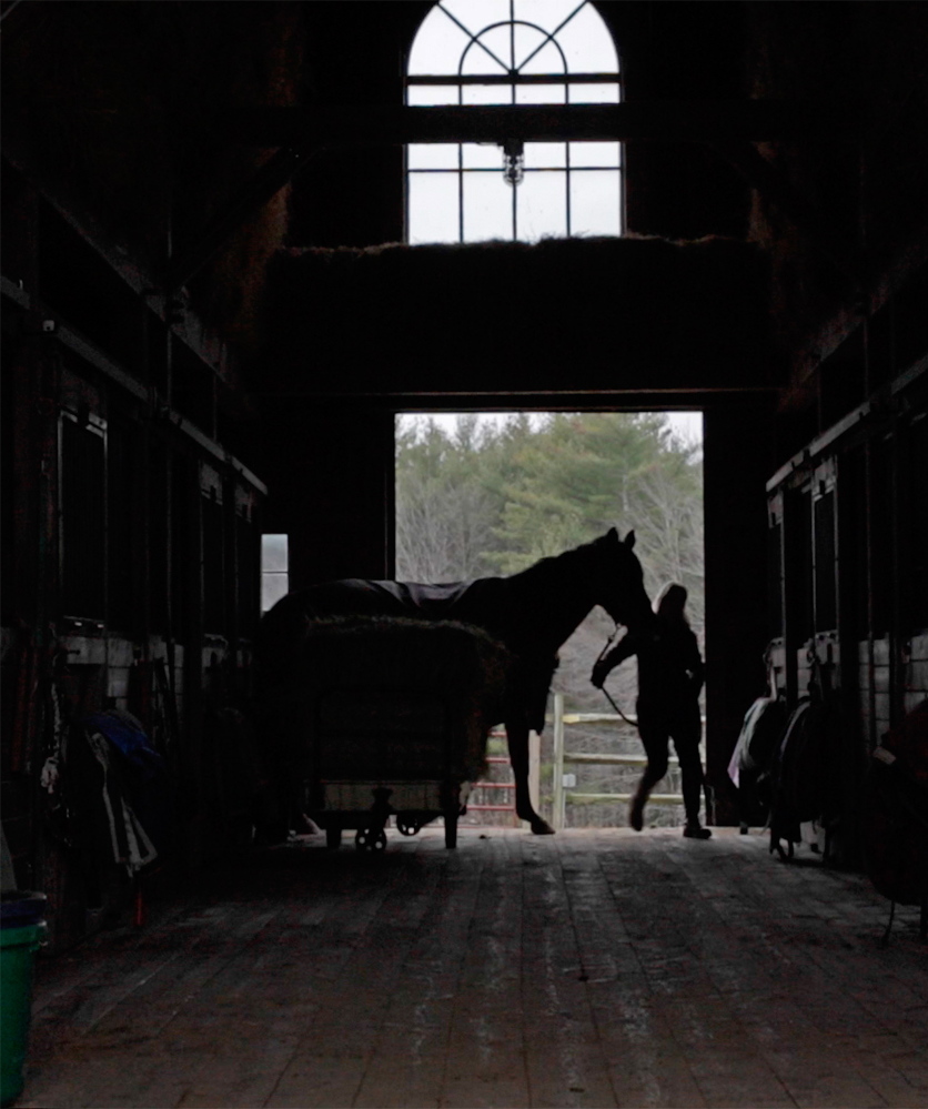Sarah Armentrout, who founded Carlisle Academy with her husband, leads a horse into the barn in Lyman. “Because (the horses) are so big and carry you in this graceful, proud way, you do have that sense of pride when you’re riding them,” Armentrout said.