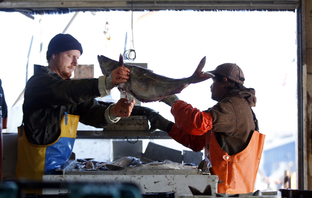 The New England Fishery Management Council held the last of a series of public hearings Wednesday on proposed changes to protections of fishing areas off New England.