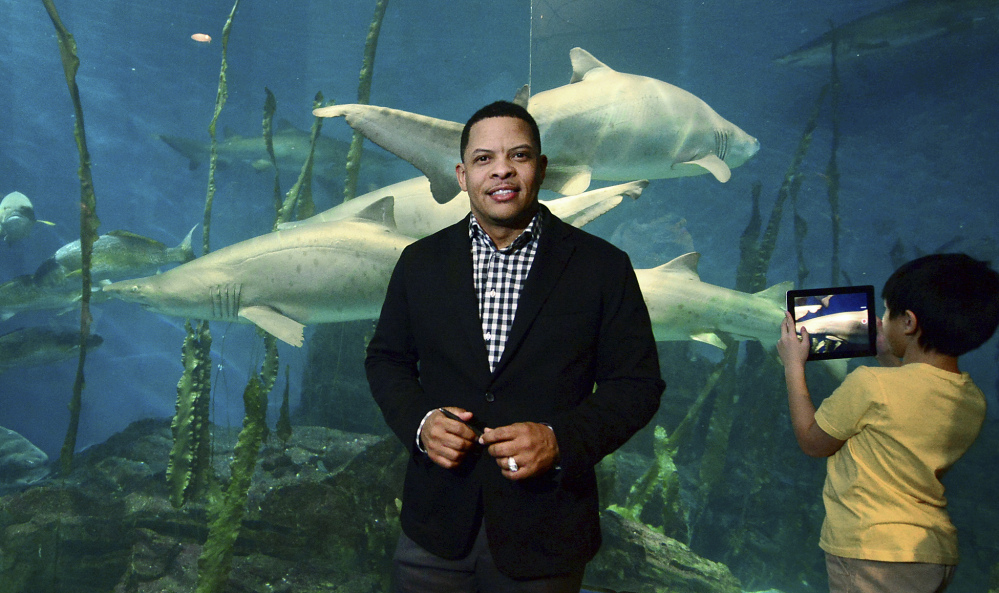 Brian Davis, new president of The Maritime Aquarium, poses in front of one of the displays at the aquarium in Norwalk, Conn. Davis succeeds Jennifer E. Herring, who retired Dec. 27 after heading the aquarium for a decade.