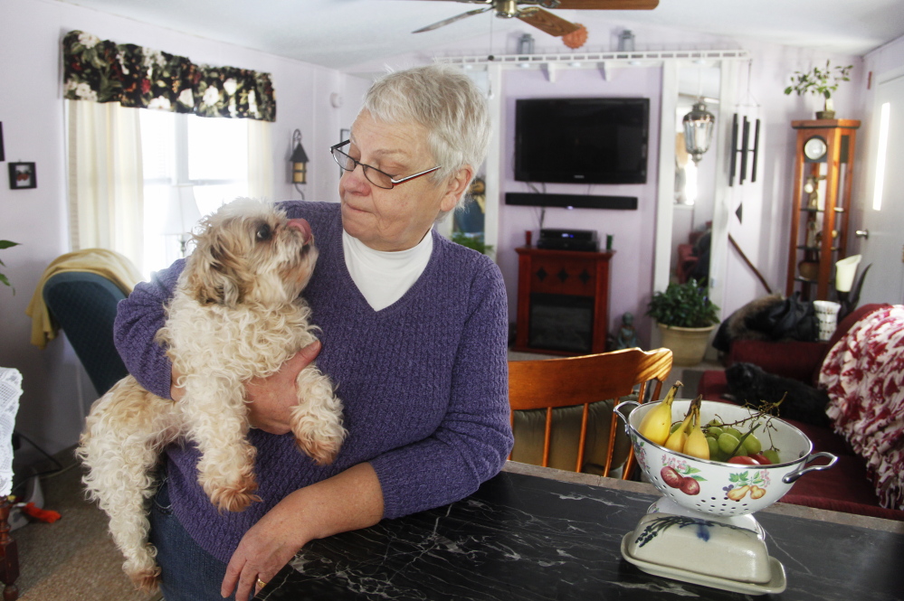 Ellen Harris-Howard of Lebanon and her husband pay $125 a month for electricity at the home they share with their dog, Cricket. Falling prices are “just a blessing for us,” she said.