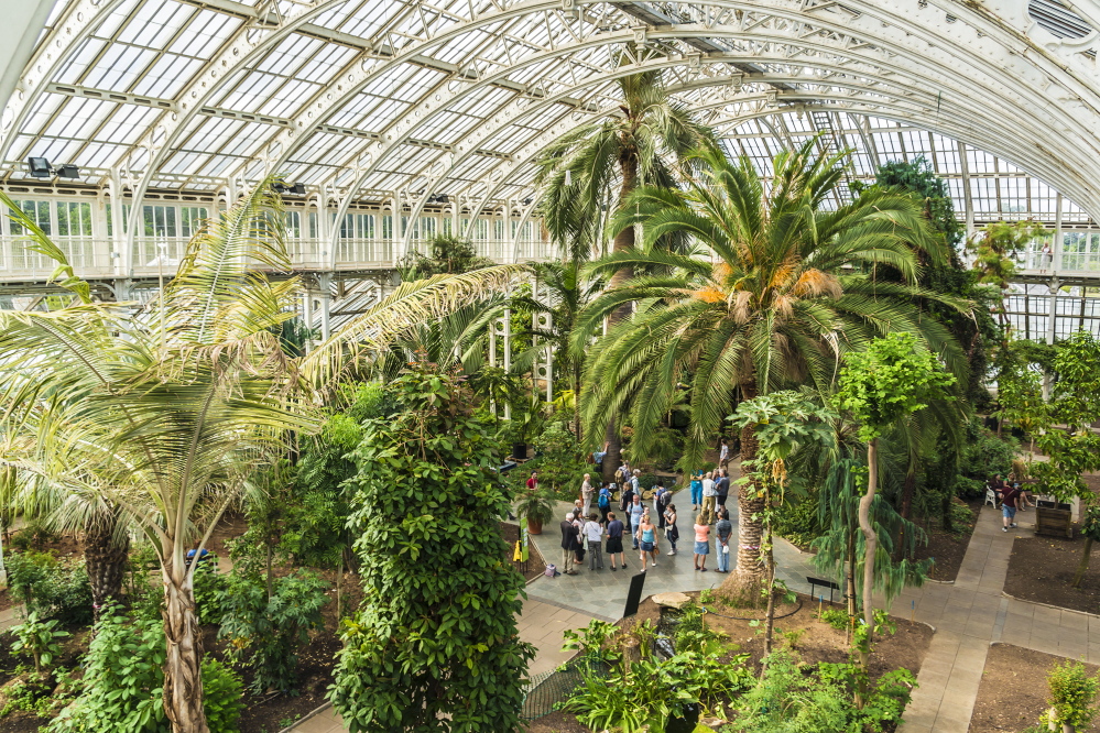The Palm House at Kew, the Royal Botanic Gardens, in London holds tropical plants grouped by the continents they’re from.