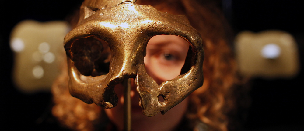 A girl looks through the replica of a Neanderthal skull displayed in the Neanderthal Museum in Krapina, Coatia. Scientists say the shape of the Neanderthal skull caused people to wrongly assume that they were very different from and inferior to modern humans.