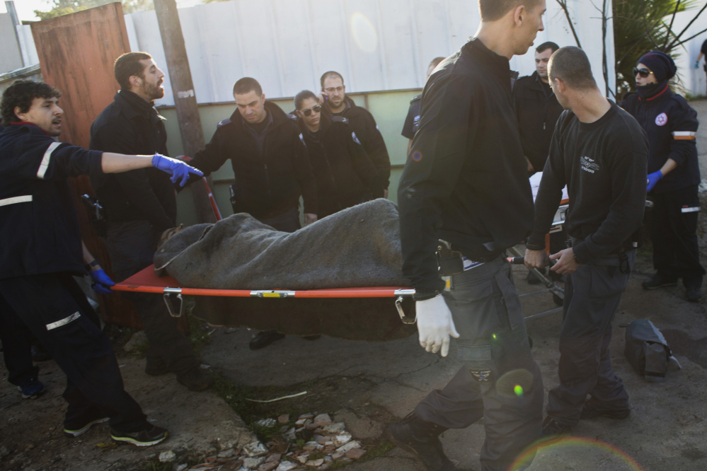 Israeli police officers and medics carry a Palestinian suspected of stabbing people from an area near the attacking site in Tel Aviv, Israel, Wednesday, Jan. 21, 2015. A Palestinian man stabbed at least 11 people on and near a bus in central Tel Aviv on Wednesday, seriously wounding three of them before he was shot and arrested by Israeli police. (AP Photo/Oren Ziv)