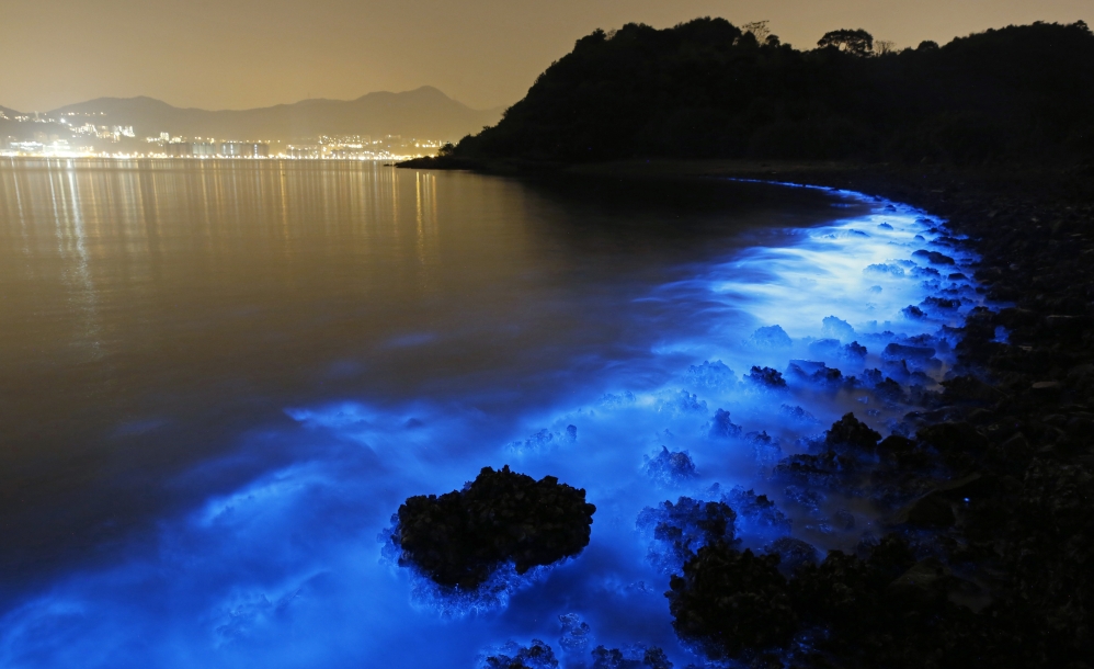A swath of so-called Sea Sparkle casts an eerie glow along a beach in Hong Kong. Biologists warn its presence may precede an increase in toxins.