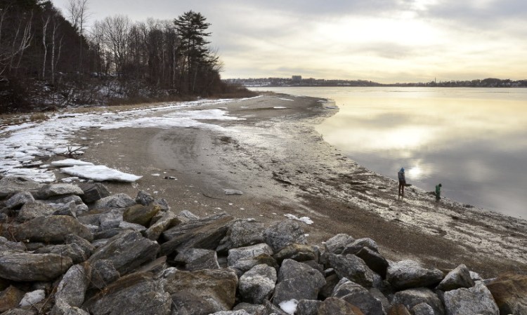 The state is proposing to hire an employee to collect fees for using the state park on Mackworth Island, off Falmouth.