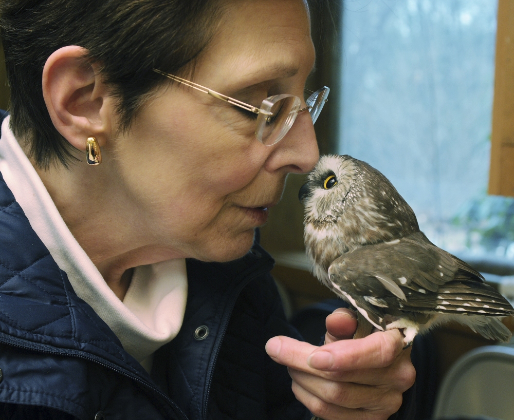 Julie Collier snuggles with a northern saw-whet owl. “They try to outsmart you,” she said.