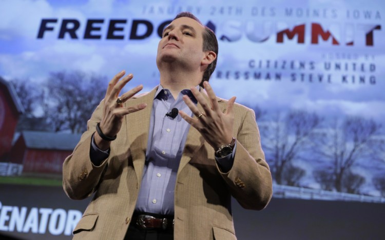 U.S. Sen. Ted Cruz, R-Texas, speaks during the Freedom Summit, Saturday, Jan. 24, 2015, in Des Moines, Iowa.