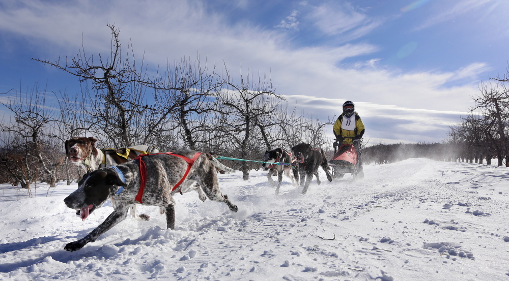 Jessica Johnson of Bristol and her dog team traverse a flat section during the four-dog sled race at the Down East Mushers Bowl in Bridgton on Saturday.
