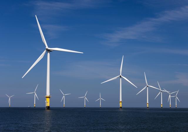 This wind farm off the coast of Europe shows how Cape Wind's 130-turbine proposal for Nantucket Sound might look. Courtesy photo