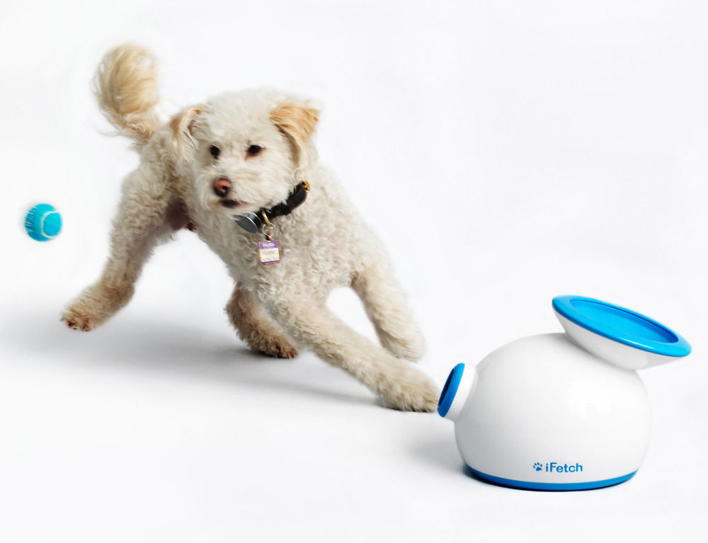 With iFetch Ball Launcher for Dogs by your side, your fetch-loving dog will never be bored again. $99 on the SkyMall website.