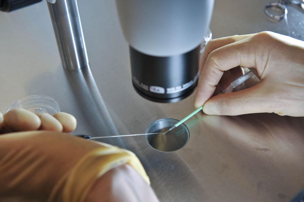 In this Aug. 11, 2008 file photo, a scientist works during an IVF process.