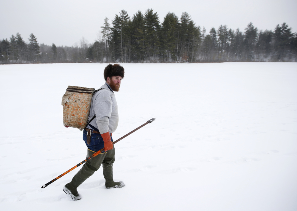 Trapper Brian Cogill walks on a frozen pond while checking his traps in Limington. Cogill is one a shrinking number of trappers.
