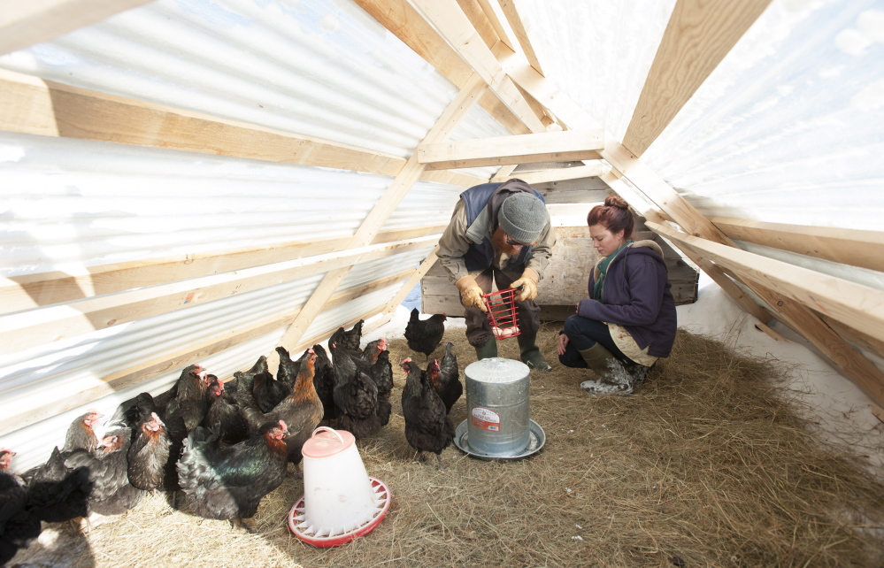 Dustin Colbry and his wife, Natasha, remove eggs from the henhouse at Spruce Mill Farm in Dover-Foxcroft on Tuesday.