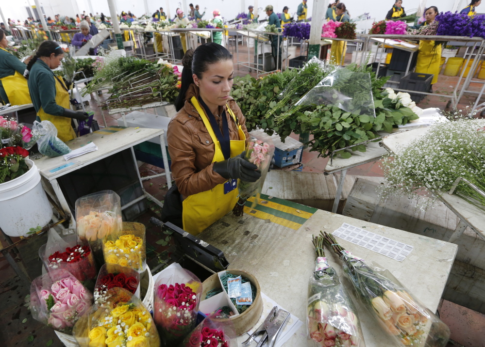 Workers for a Colombian flower grower organize bouquets ahead of Valentine’s Day in the town of Subachoque. Colombia is the world’s second-largest flower exporter behind the Netherlands. The Andean country exports about 500 million flowers to the U.S. for Valentine’s Day, according to the Colombia Flower Growers Association.