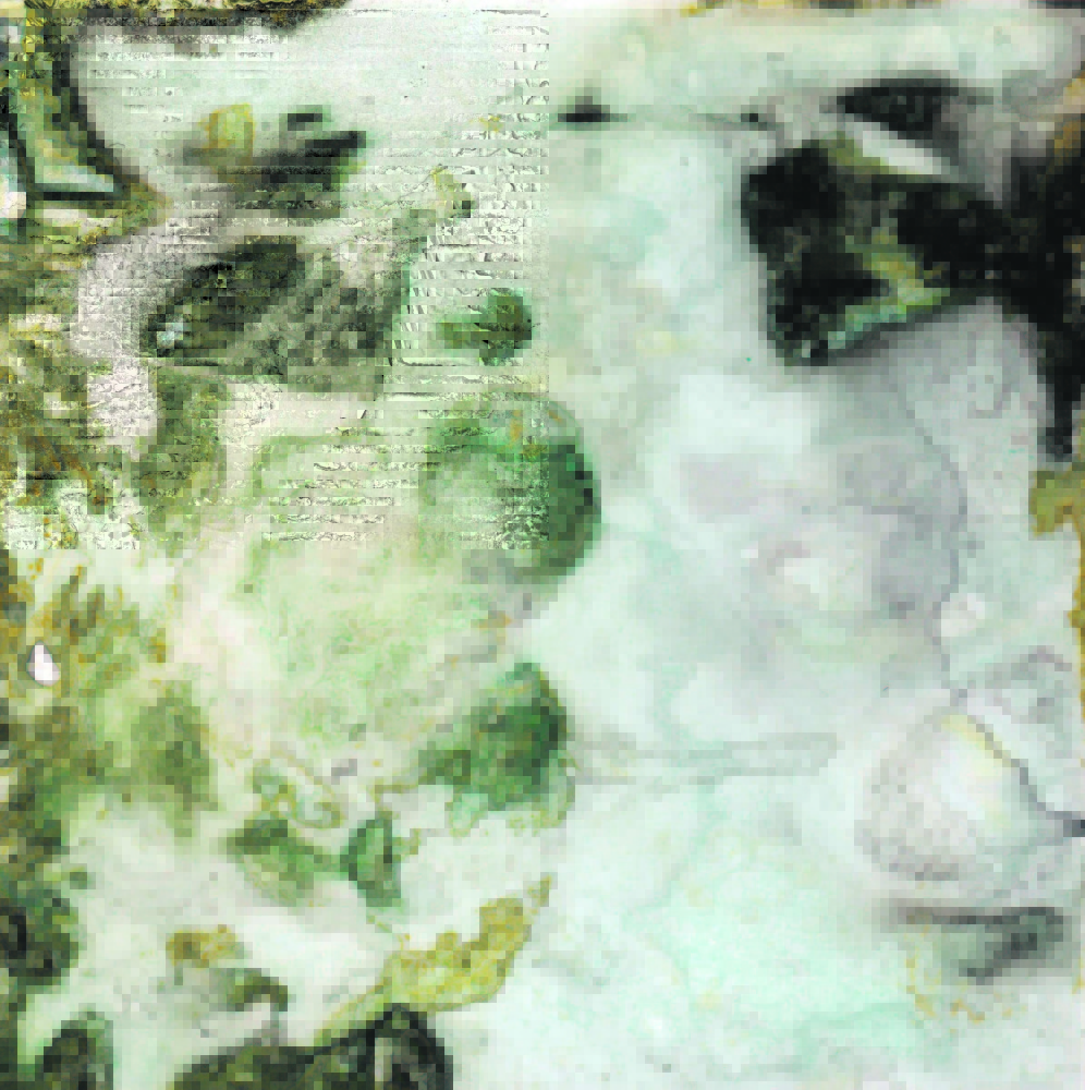 Sarah Baldwin, “Coastal Lowlands,” 2014, 8 x 8, ink on vellum