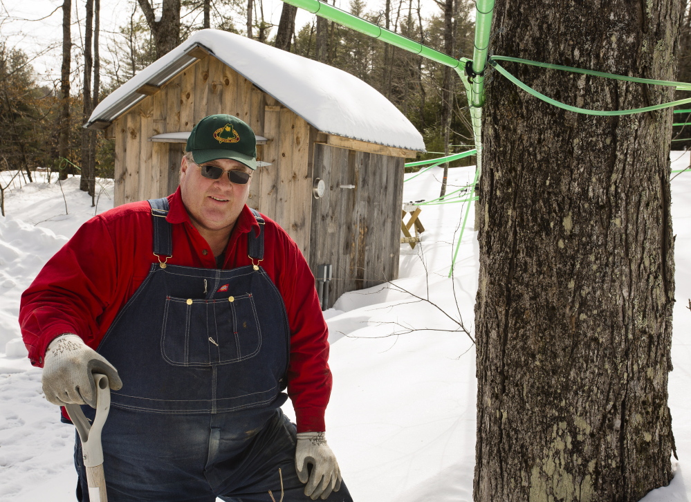 Lyle Merrifield of Gorham, the new president of the Maine Maple Producers Association, produces about 180 gallons of syrup yearly in his family-filled operation.