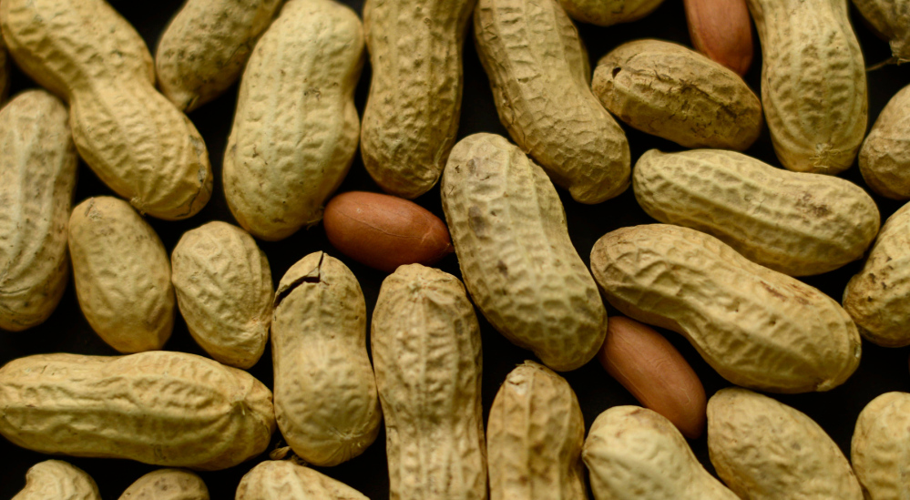 Among questions that remain: How much peanut protein do kids need to eat to reduce their allergy risk? Will the protective effect wear off if kids stop eating peanuts? 
