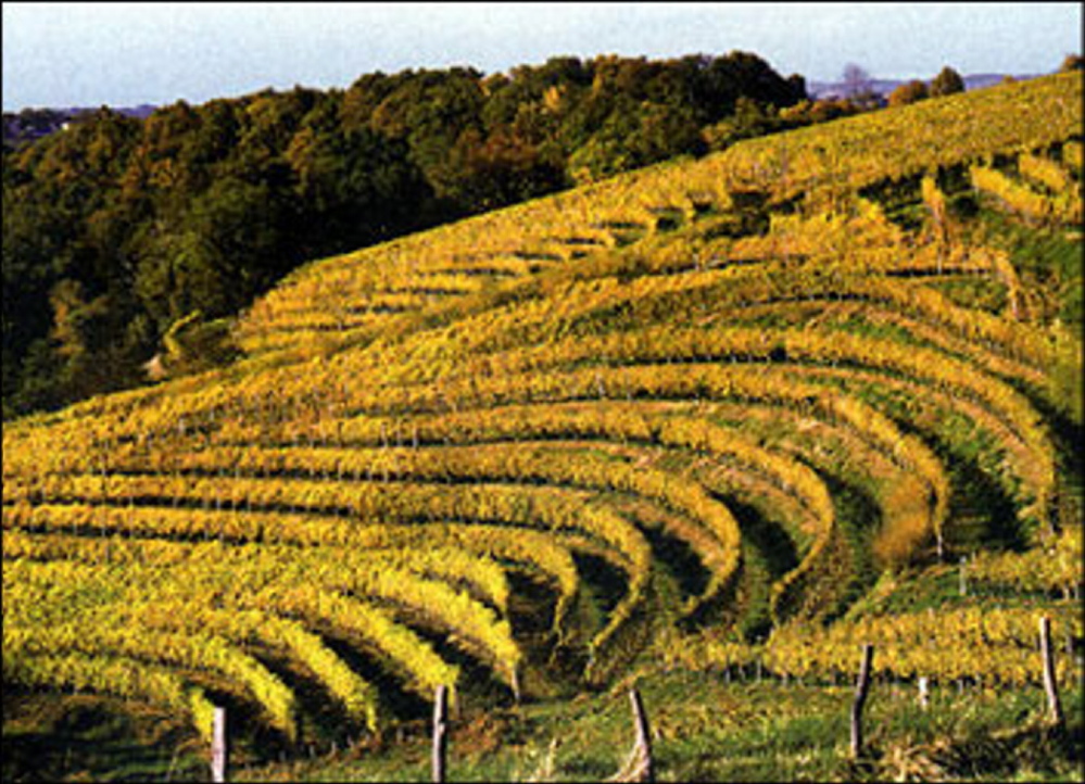 Many Jurançon vineyards are terraced, and their location in the foothills of the Pyrénées mountains accounts for the potent mineral nature of the wines.
Courtesy photo