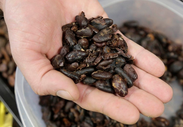 Cocoa beans that are grown in Nigeria, where leaded gasoline is used, could be the source of high levels of heavy metals in some chocolate products, according to one scientist.