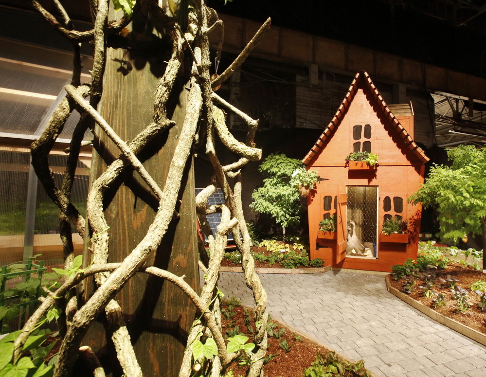 The Cozy Acres Greenhouses exhibit “Jack is our Hero” won the Best in Show award at the 2014 Portland Flower Show.