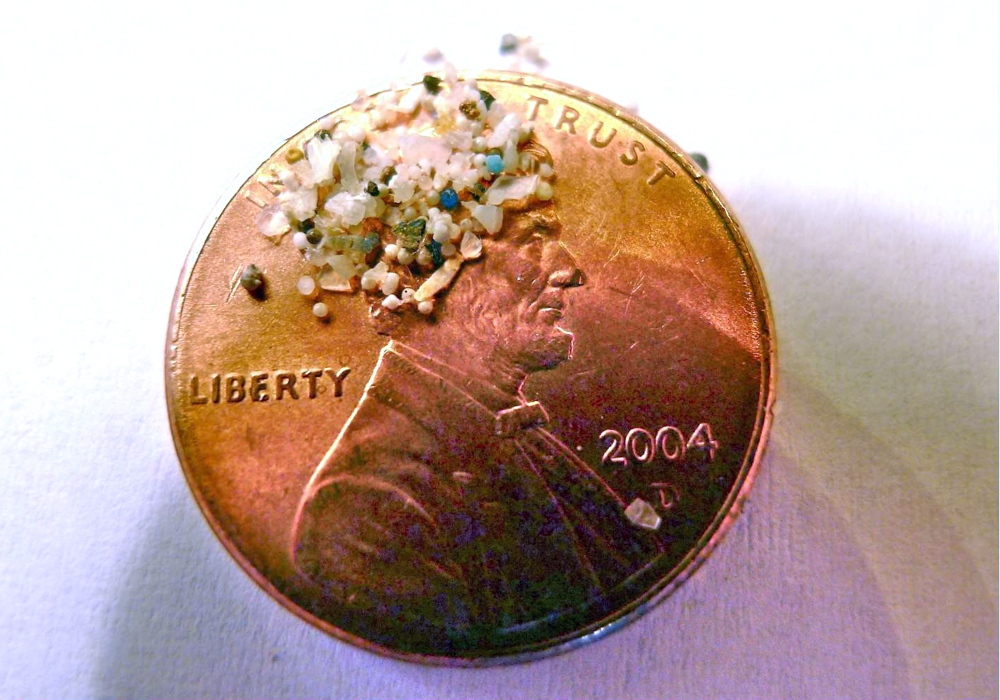 A sample of “microbeads” collected in eastern Lake Erie is shown on the face of a penny.
