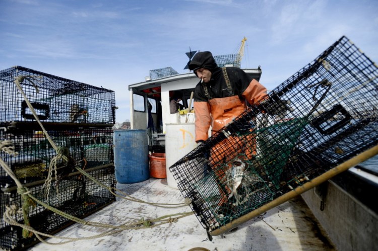 People in Maine are so accustomed to seeing working lobstermen – like James Rozakis aboard the Nomad last year in Portland Harbor, above – that they take the fishery for granted and don’t realize that consumers in the rest of the country crave this kind of intimate connection with a wild food source, according to Nick Branchina, director of marketing for Portland-based Browne Trading Co., a purveyor of seafood. A marketing effort is underway to capitalize on Maine’s “new shell” lobsters as a seasonal delicacy with a story.