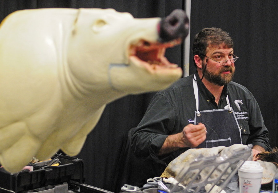 Paul Reynolds, of Wild Wings Taxidermy in Dayton, talks about his craft Friday at the Maine Sportsman’s Show at the Augusta Civic Center. He is sewing up holes in the hide from a wild boar to be mounted on the form, at left.