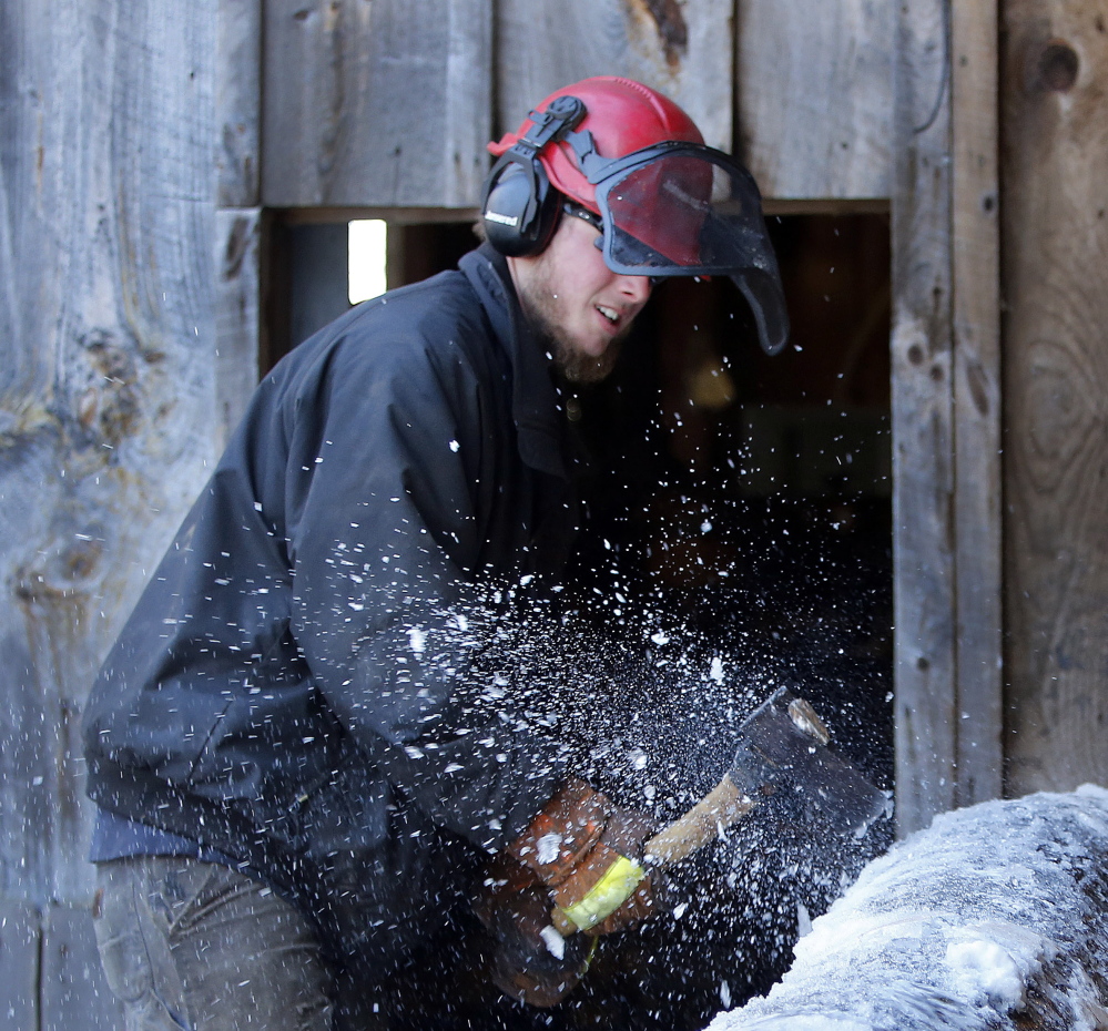 Carl Potter chips ice off poplar logs before they are cut at the family sawmill. The Potters started up the family mill to cut planks for a barn they plan to build later this spring.