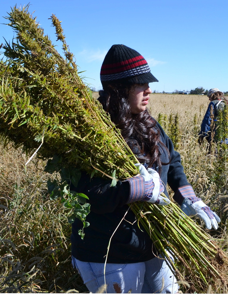 Related to marijuana, hemp is making a comeback and is the subject of a convention.