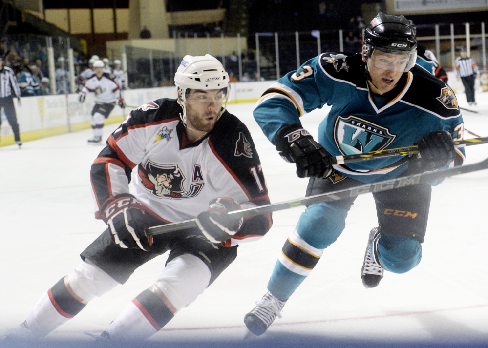 Portland’s Jordan Martinook chases a loose puck with Worcester’s Gus Young during the Sharks’ 1-0 win Tuesday in Portland.
Shawn Patrick Ouellette/Staff Photographer