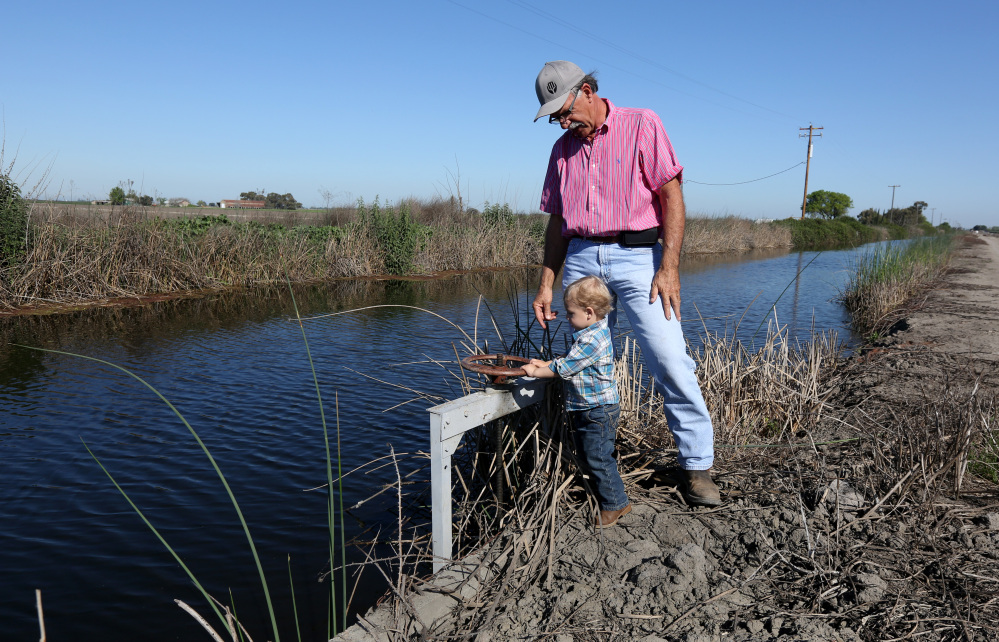 In this photo taken Friday March 27, 2015, farmer Rudy Mussi watches his grandson, Lorenzo, 20 months, tries to turn a water valve on his almond orchard  in the Sacramento-San Joaquin Delta near Stockton, Calif.  As California enters the fourth year of drought, huge amounts of water are mysteriously vanishing from the Sacramento-San Joaquin Delta, and farmers whose families for generations have tilled fertile soil there are the prime suspects.  Delta farmers deny they are stealing water, still, they have been asked to report how much water they’re pumping and to prove their legal right. Mussi says he has senior water rights in a system more than a century old that puts him in line ahead of those with lower ranking, or junior, water rights.(AP Photo/Rich Pedroncelli)