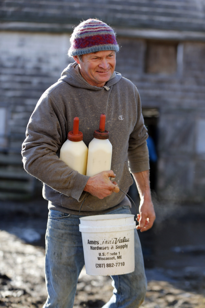 Lee Straw carries fresh milk in nursing bottles as he makes his way to a barn to feed calves at his farm in Newcastle. 