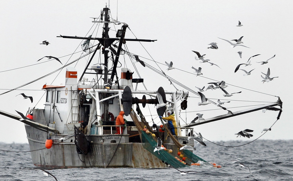 Gulls follow a shrimp fishing boat as crewmen haul in their catch in the Gulf of Maine. 2012 File Photo/The Associated Press