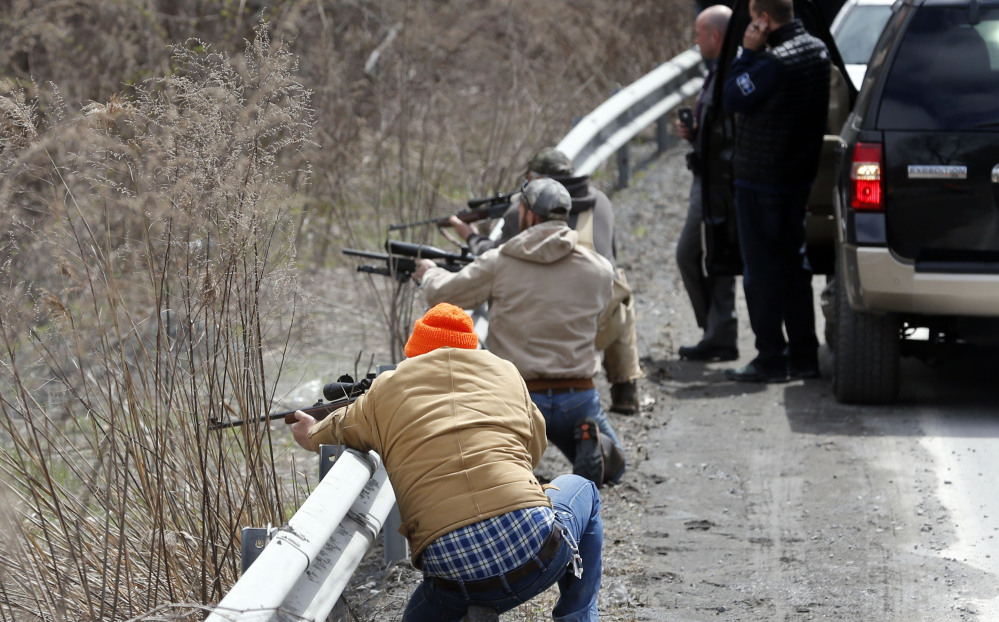 Shooters fire at a herd of buffalo in a creek Friday. The animals were being raised at a farm for their meat.