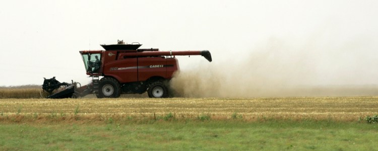 In this June 19, 2007 file photo, wheat straw and dust blow from the back of a combine harvesting the grain in a field near Mullinville, Kansas. The Associated Press