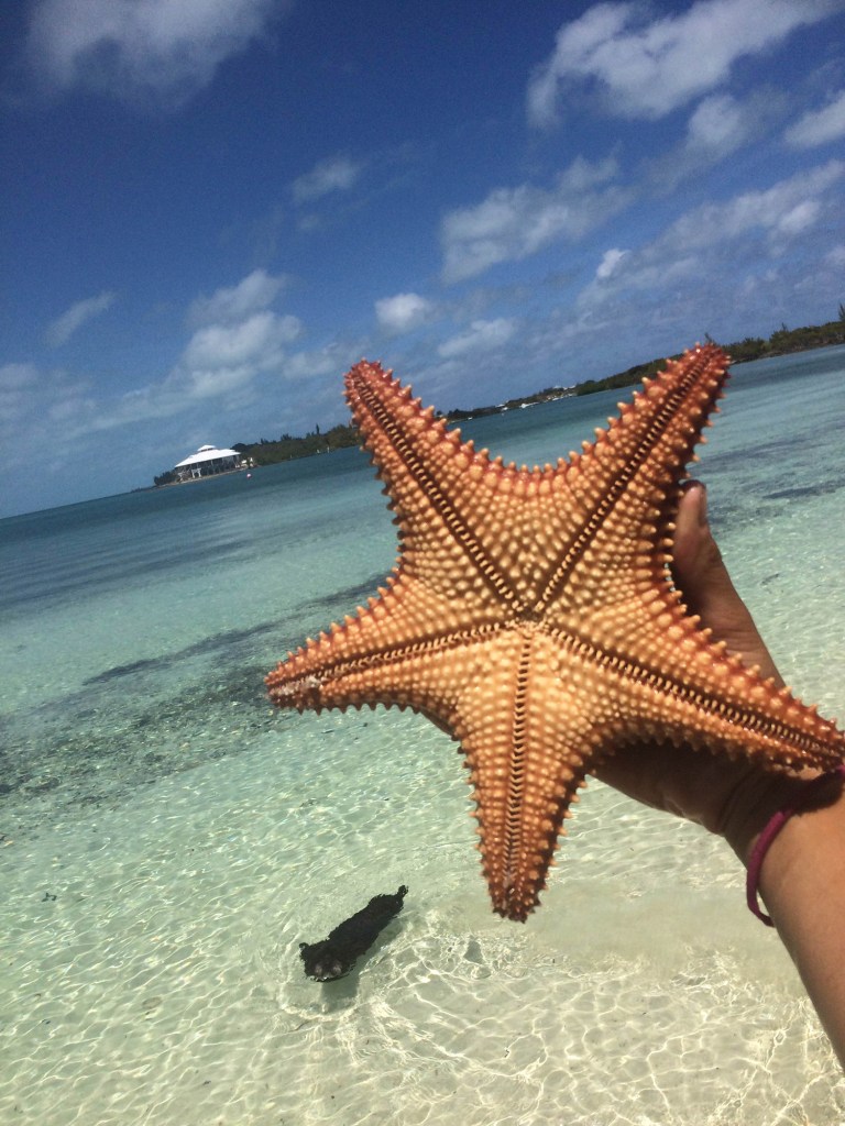 The young sailor displays a large star fish near a Bahamian beach. Sally Gardiner-Smith photo
