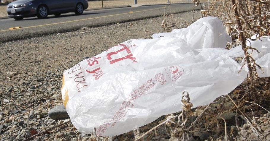 An informal survey conducted by the Freeport Ordinance Committee found 70 percent of 779 respondents support a ban on plastic shopping bags. The Associated Press