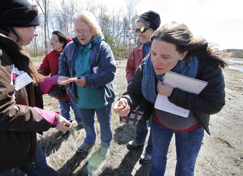 Becky Brosnan of Cape Elizabeth, right, inspects a sample of algae from the Scarborough Marsh while touring with Audubon Nature Center assistant Lindsay Senecal, left, and other volunteer naturalists during a training session.