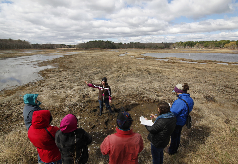 Lindsay Senecal, an Audubon Nature Center assistant, leads volunteer naturalists through the Scarborough Marsh. Volunteers have shown incredible dedication through the years.