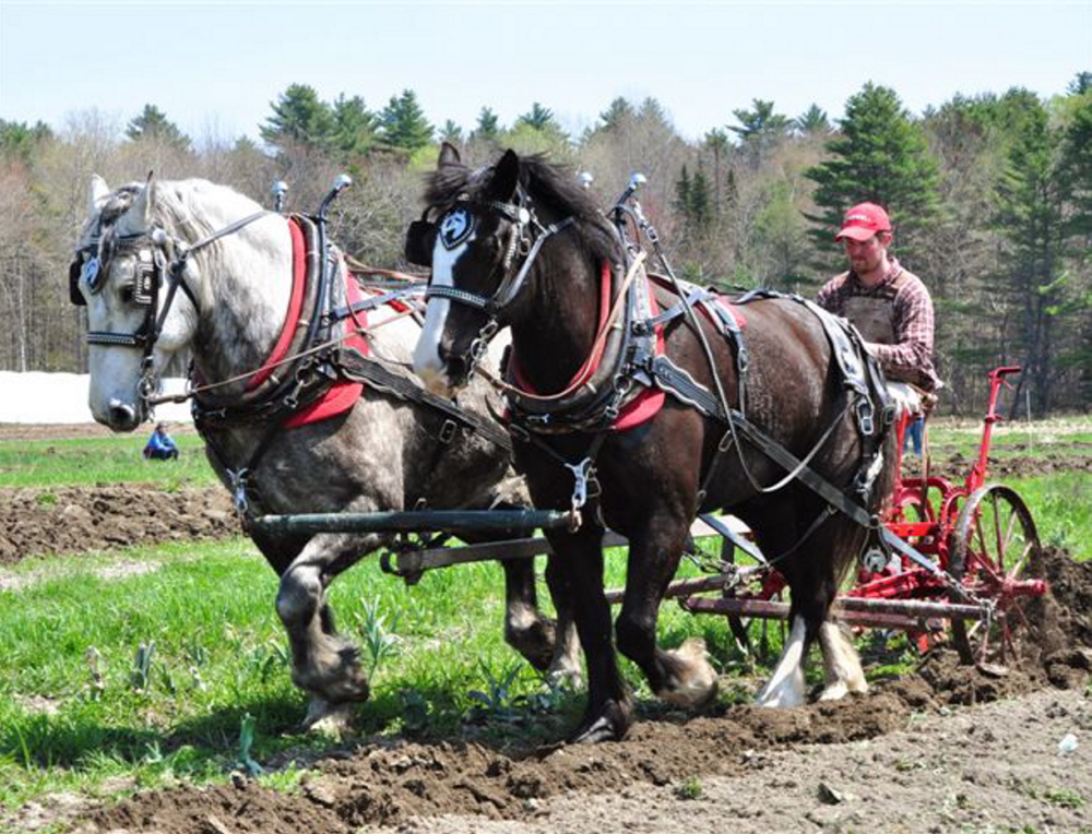 Plow Day at Skyline Farm in North Yarmouth on Saturday will include demonstrations with horse-drawn plows as well as wagon rides and other activities.