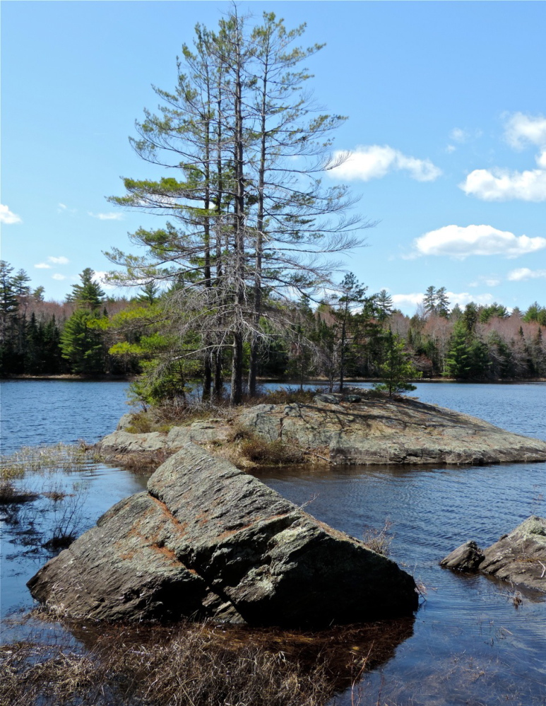 One of the three islands clustered together in the northern portion of Kingdom Bog makes for part of the appeal of a perfect canoe trip.