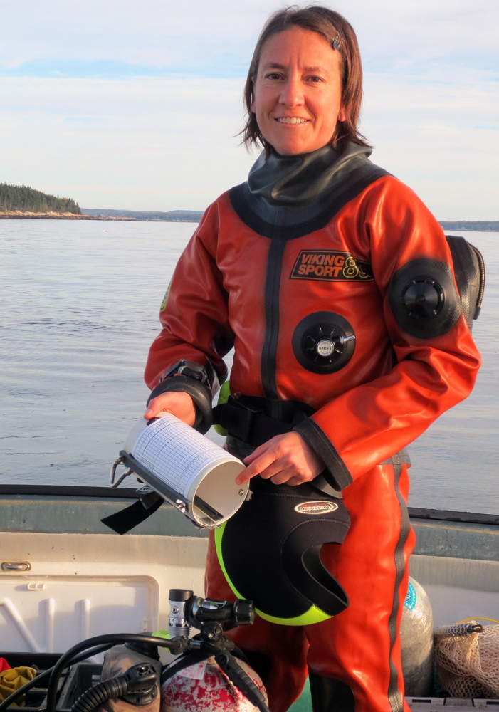 Susie Arnold, an Island Institute marine scientist, will discuss the effects of climate change on Maine’s ocean waters at the Wells Reserve at Laudholm on Thursday.