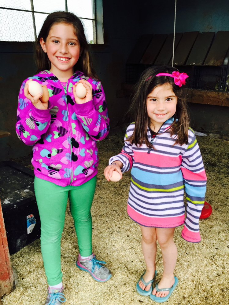 Ava, 8, and Macie Jenkins, 4, of Brunswick hold up the eggs they’ve gathered at Spring Peepers Farm in Topsham.