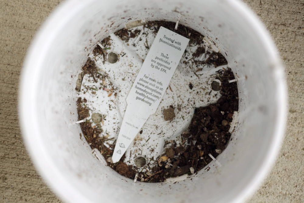 When Pam Jones of Kennebunk pulled her new heather plant out of its pot, she was surprised to find a label at the bottom of the pot saying the plant was treated with a pesticide.